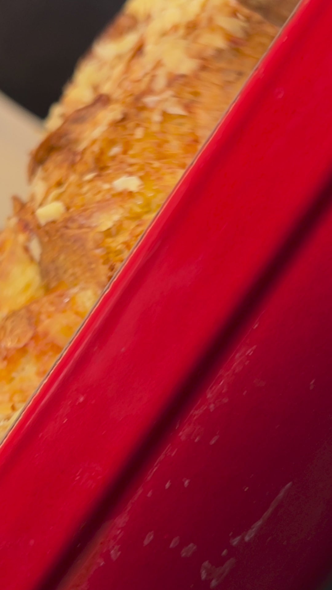 Horno eléctrico con Air Fryer XL Pro 10 en 1 - Ninja Foodi DT201